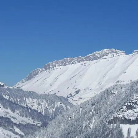 Apartment Skis Aux Pieds Avec Piscine - Fr-1-505-72