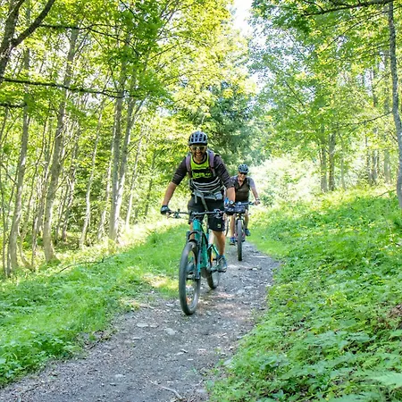 Skis Aux Pieds Avec Piscine - Fr-1-505-72