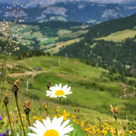 Skis Aux Pieds Avec Piscine - Fr-1-505-72 Apartment *